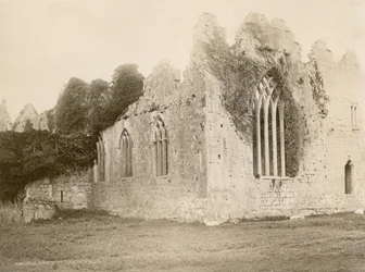 Askeaton Abbey (Sepia-Foto)